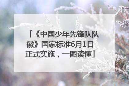 《中国少年先锋队队徽》国家标准6月1日正式实施，一图读懂