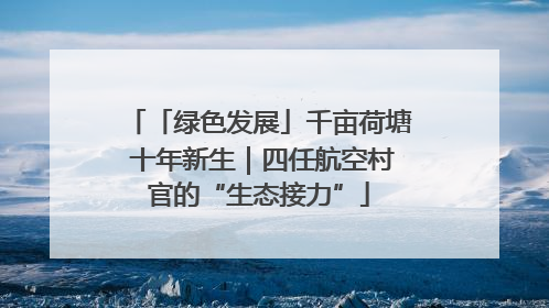 「绿色发展」千亩荷塘 十年新生｜四任航空村官的“生态接力”