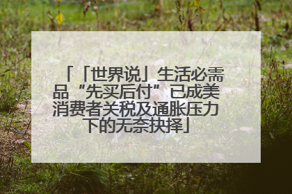「世界说」生活必需品“先买后付”已成美消费者关税及通胀压力下的无奈抉择