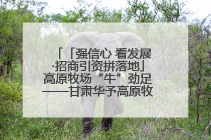 「强信心 看发展·招商引资拼落地」高原牧场“牛”劲足——甘肃华予高原牧场高标准奶牛肉牛养殖项目一线见闻