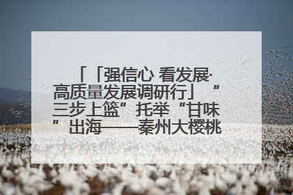 「强信心 看发展·高质量发展调研行」“三步上篮”托举“甘味”出海——秦州大樱桃高质量发展动作分解