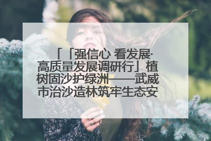 「强信心 看发展·高质量发展调研行」植树固沙护绿洲——武威市治沙造林筑牢生态安全屏障见闻