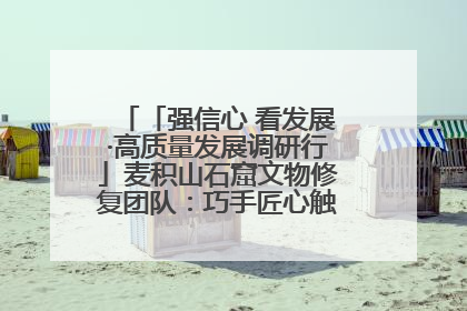 「强信心 看发展·高质量发展调研行」麦积山石窟文物修复团队：巧手匠心触摸“光阴的故事”