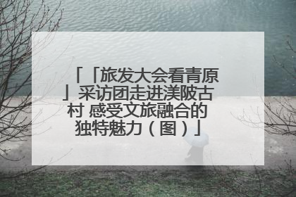 「旅发大会看青原」采访团走进渼陂古村 感受文旅融合的独特魅力（图）