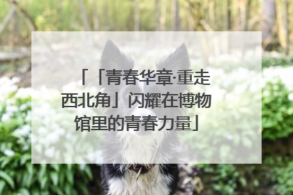「青春华章·重走西北角」闪耀在博物馆里的青春力量