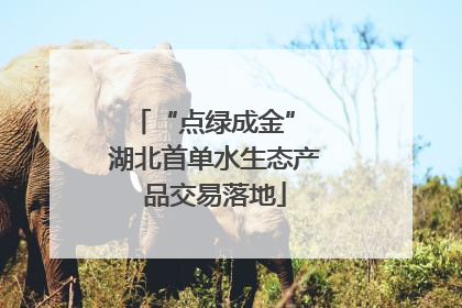 “点绿成金” 湖北首单水生态产品交易落地