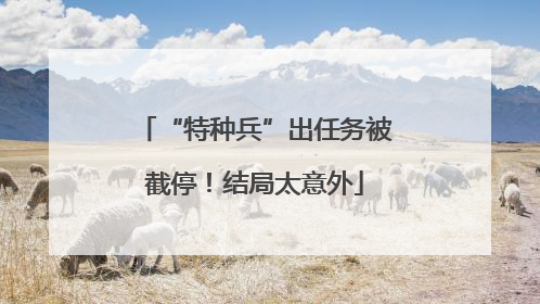 “特种兵”出任务被截停！结局太意外