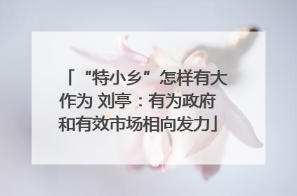 “特小乡”怎样有大作为 刘亭：有为政府和有效市场相向发力