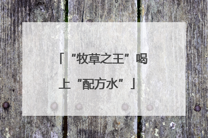 “牧草之王”喝上“配方水”