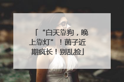 “白天靠狗，晚上靠灯”！菌子近期疯长！别乱捡