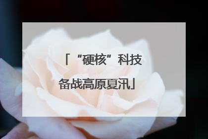 “硬核”科技备战高原夏汛
