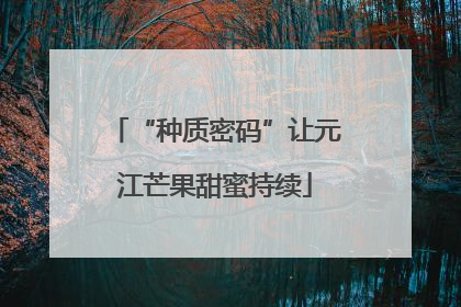 “种质密码”让元江芒果甜蜜持续