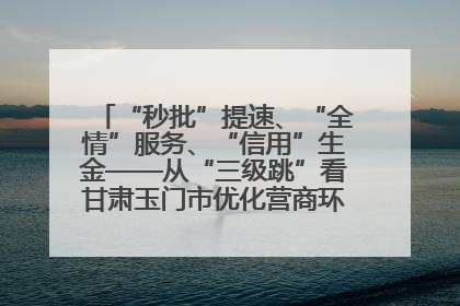 “秒批”提速、“全情”服务、“信用”生金——从“三级跳”看甘肃玉门市优化营商环境的进阶之路