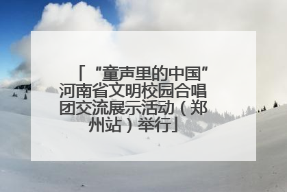 “童声里的中国”河南省文明校园合唱团交流展示活动（郑州站）举行