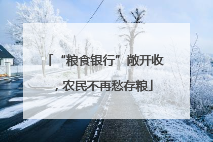 “粮食银行”敞开收，农民不再愁存粮