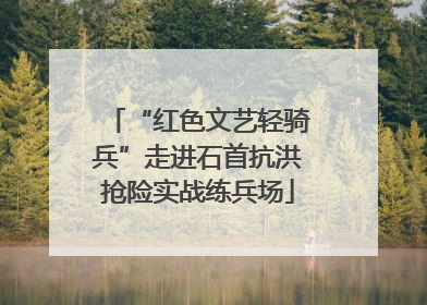 “红色文艺轻骑兵”走进石首抗洪抢险实战练兵场