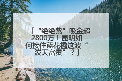 “绝绝紫”吸金超2800万！昆明如何接住蓝花楹这波“泼天富贵”？
