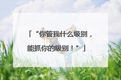 “你管我什么级别，能抓你的级别！”