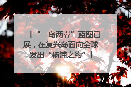 “一岛两翼”蓝图已展，在复兴岛面向全球发出“杨浦之约”