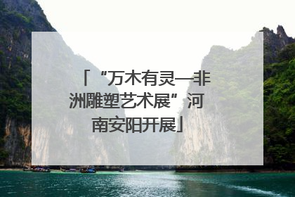 “万木有灵—非洲雕塑艺术展”河南安阳开展