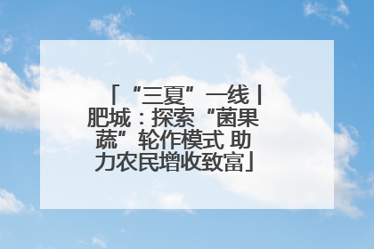 “三夏”一线丨肥城：探索“菌果蔬”轮作模式 助力农民增收致富