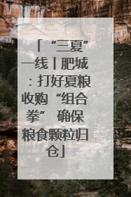 “三夏”一线丨肥城：打好夏粮收购“组合拳” 确保粮食颗粒归仓