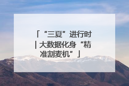 “三夏”进行时｜大数据化身“精准割麦机”