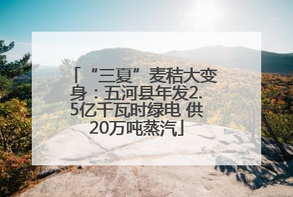 “三夏”麦秸大变身：五河县年发2.5亿千瓦时绿电 供20万吨蒸汽
