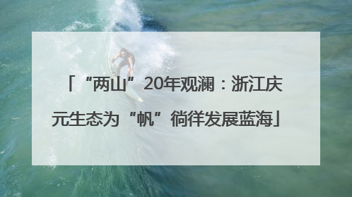 “两山”20年观澜：浙江庆元生态为“帆”徜徉发展蓝海