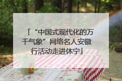 “中国式现代化的万千气象”网络名人安徽行活动走进休宁