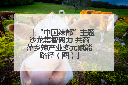 “中国辣都”主题沙龙集智聚力 共商萍乡辣产业多元赋能路径（图）