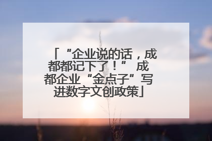 “企业说的话，成都都记下了！” 成都企业“金点子”写进数字文创政策