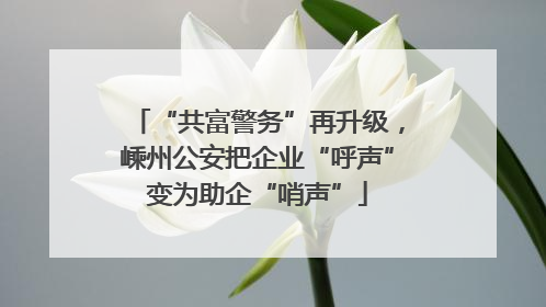 “共富警务”再升级，嵊州公安把企业“呼声”变为助企“哨声”