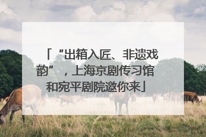 “出箱入匠、非遗戏韵”，上海京剧传习馆和宛平剧院邀你来