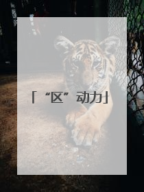 “区”动力