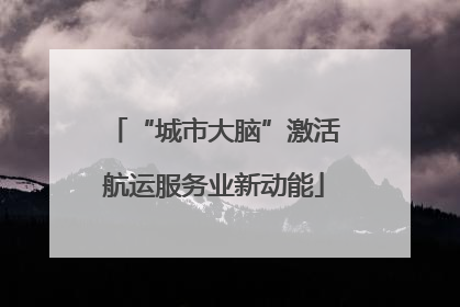 “城市大脑”激活航运服务业新动能
