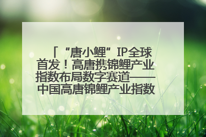 “唐小鲤”IP全球首发！高唐携锦鲤产业指数布局数字赛道——中国高唐锦鲤产业指数暨“唐小鲤”IP全球首发仪式在杭州举行