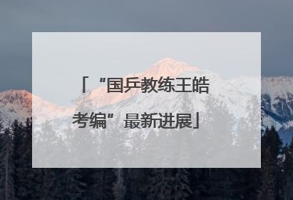 “国乒教练王皓考编”最新进展
