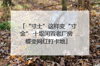 “寸土”这样变“寸金” 十堰闲置老厂房蝶变网红打卡地
