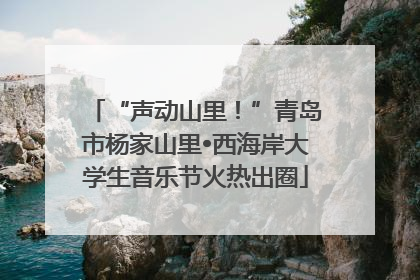 “声动山里！”青岛市杨家山里•西海岸大学生音乐节火热出圈