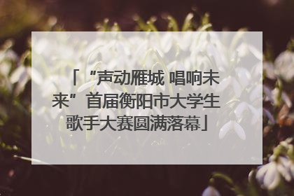 “声动雁城 唱响未来”首届衡阳市大学生歌手大赛圆满落幕