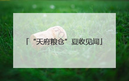 “天府粮仓”夏收见闻