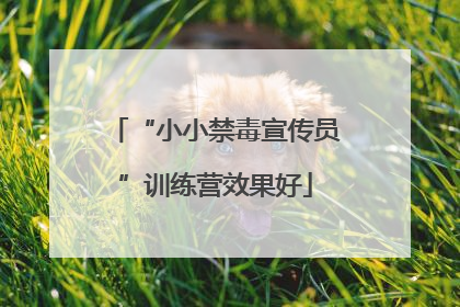 “小小禁毒宣传员”训练营效果好