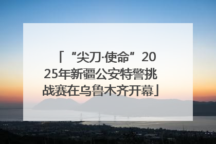 “尖刀·使命”2025年新疆公安特警挑战赛在乌鲁木齐开幕