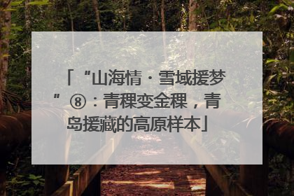 “山海情・雪域援梦”⑧：青稞变金稞，青岛援藏的高原样本