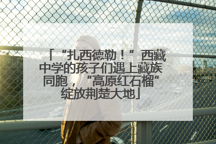 “扎西德勒！”西藏中学的孩子们遇上藏族同胞，“高原红石榴”绽放荆楚大地