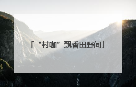 “村咖”飘香田野间