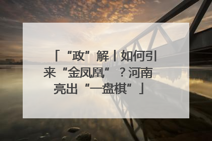 “政”解丨如何引来“金凤凰”？河南亮出“一盘棋”