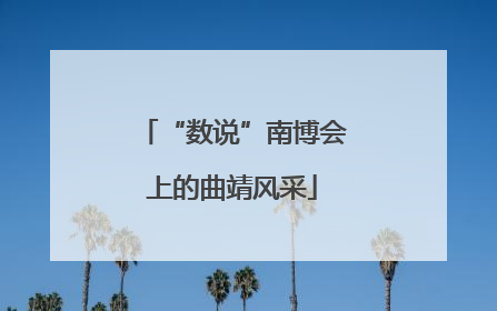 “数说”南博会上的曲靖风采