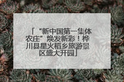 “新中国第一集体农庄”焕发新彩！桦川县星火稻乡旅游景区盛大开园